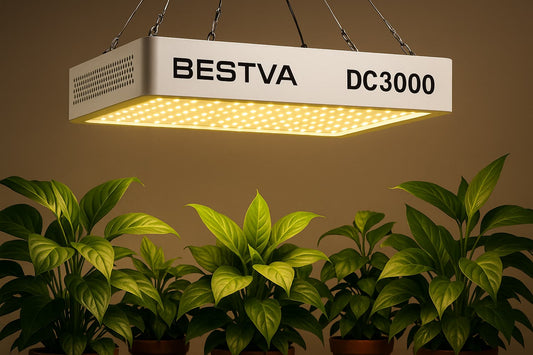 7 Best Office Plant Grow Lights