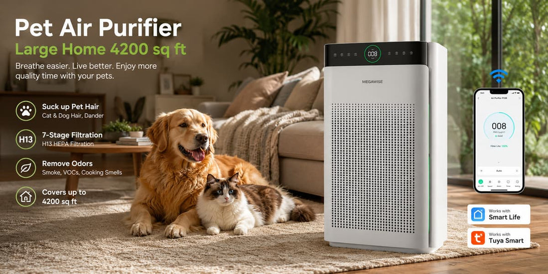 7 Best Air Purifiers for Allergies
