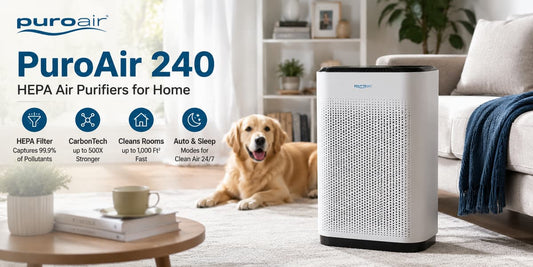 7 Best Air Purifiers for Office