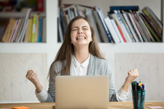LeStallion journal hero for 4 Huge Myths About Motivation