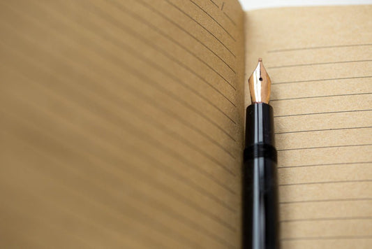 LeStallion fountain pen journal hero for What should you not write in a journal