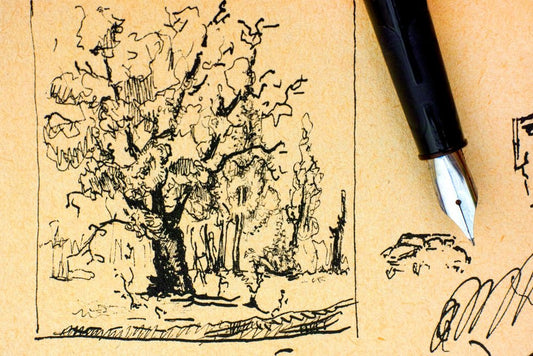 LeStallion fountain pen journal hero for Why do schools use fountain pens