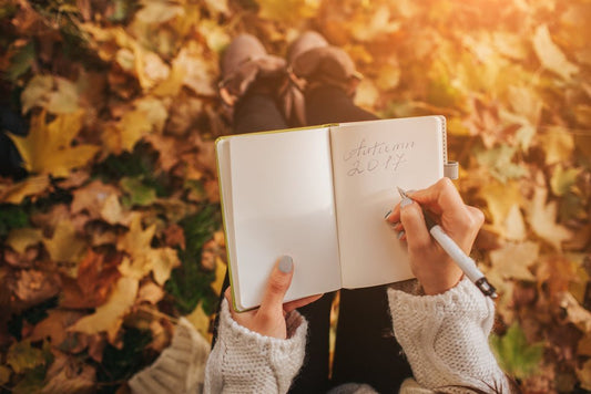 LeStallion journal hero for Journaling Your Book To Completion