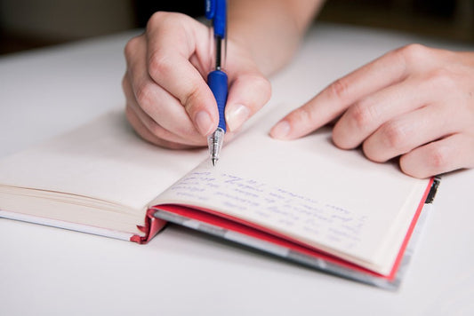 LeStallion journal hero for Journaling Goals Are Your Friends