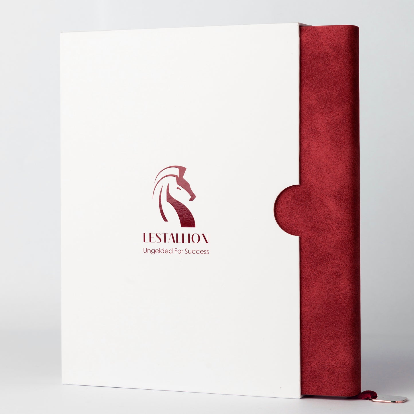 CASPIAN | Royal Red - A5 Lined Journal - Soft Cover